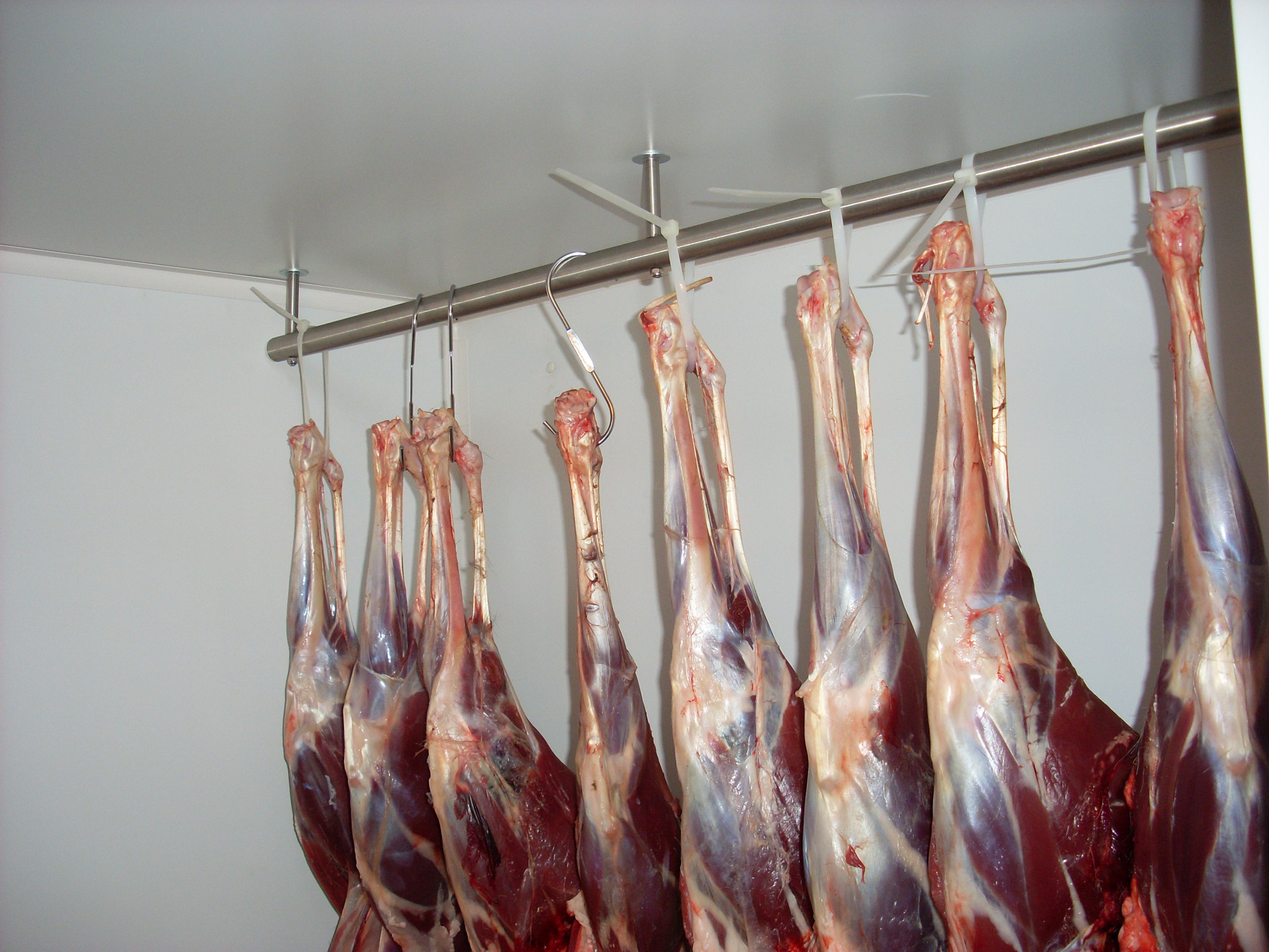 Hunting cold storage room 2 (3700 liters)