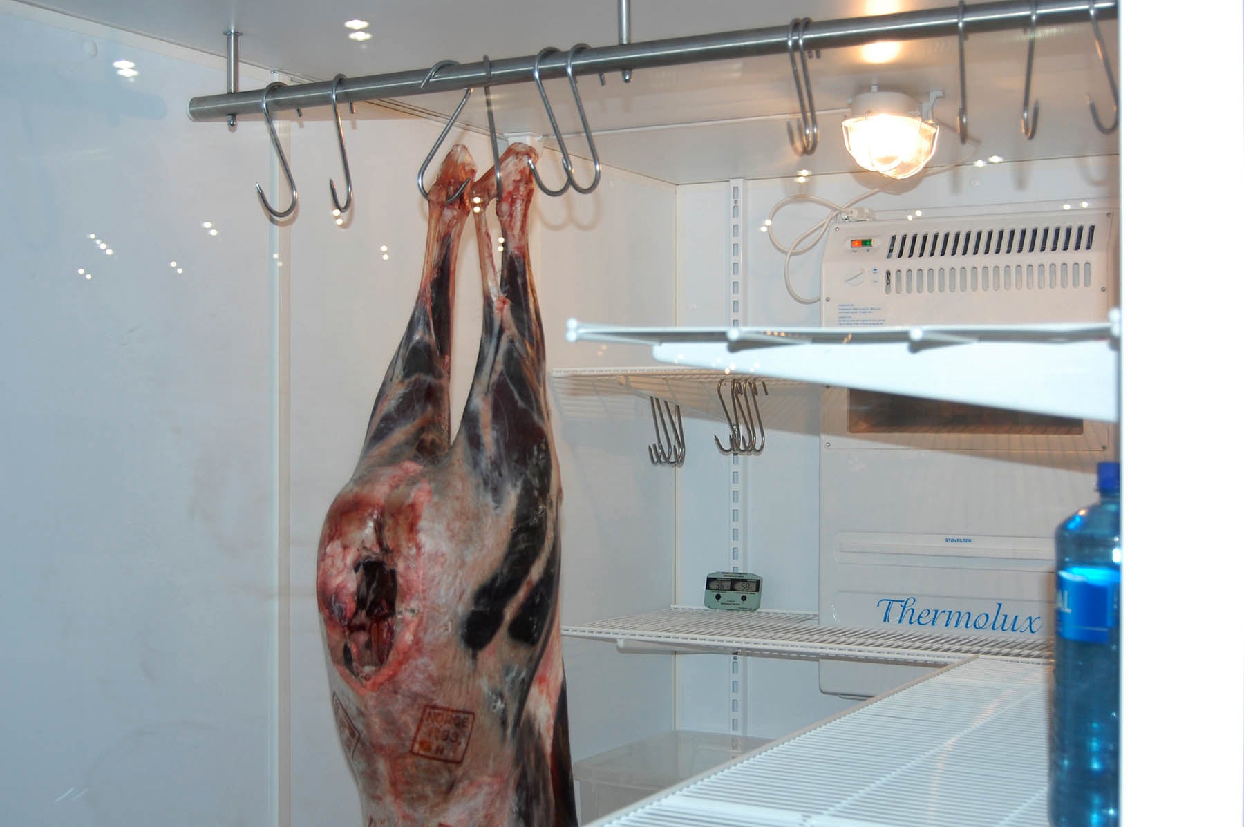 Jaktoppheng lengde 1050mm med 5 kroker