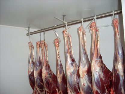 Jakt kjølerom 2 (3700 liter)